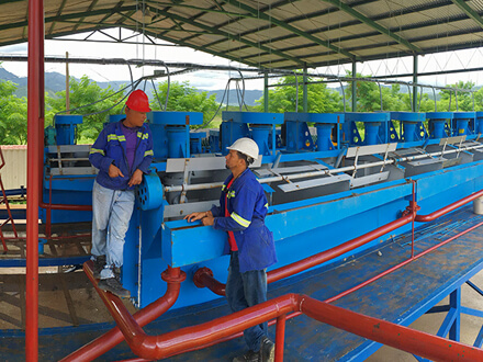 West Africa Mali Gold Mine Flotation Production Line Project